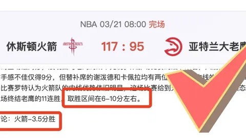 致敬林子金：国安与成都球迷第10分钟共举闪光灯缅怀